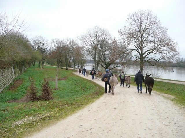 P1070187.jpg