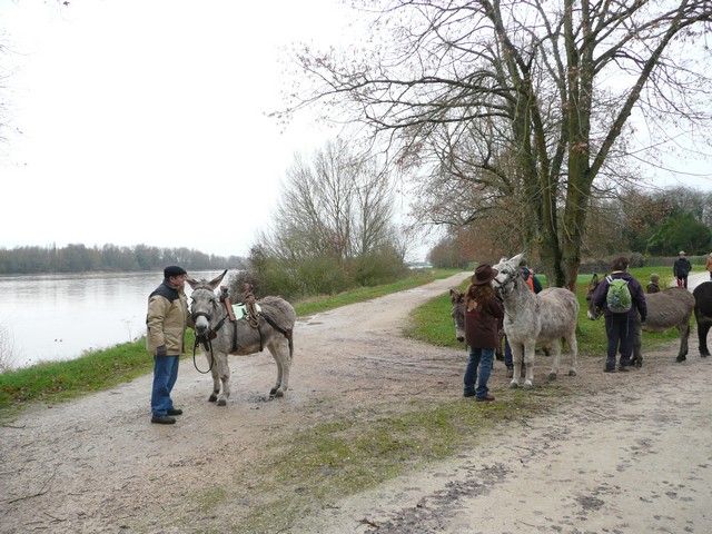 P1070188.jpg