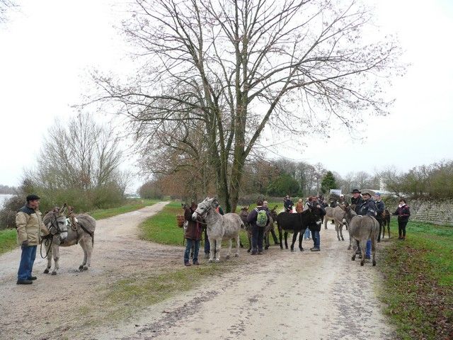P1070190.jpg