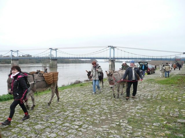 P1070196.jpg
