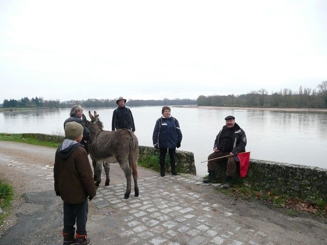 P1070199.jpg