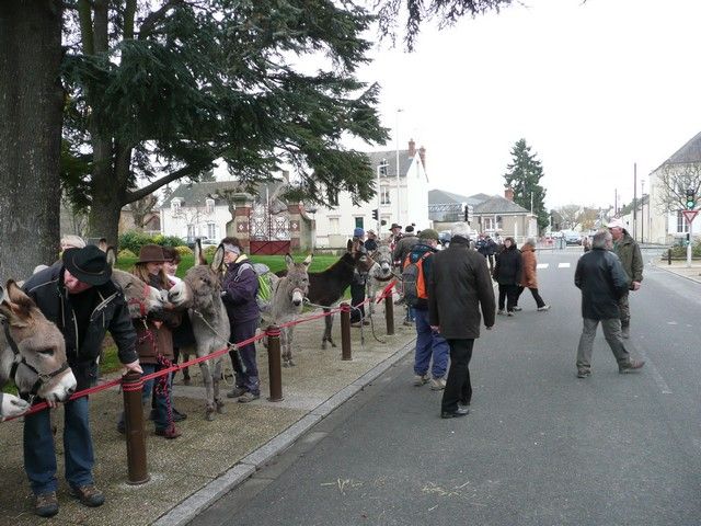 P1070220.jpg