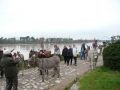 P1070201.jpg