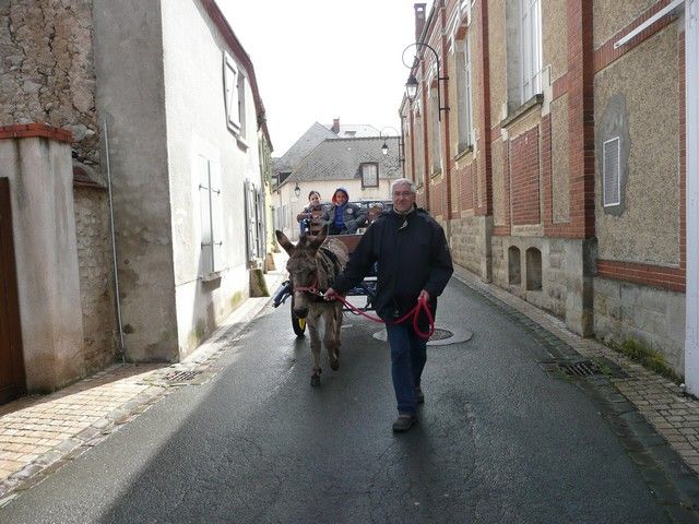 P1090895.jpg