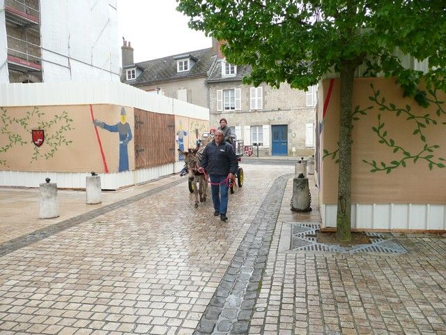 P1090900.jpg