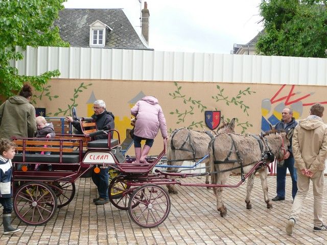 P1090911.jpg
