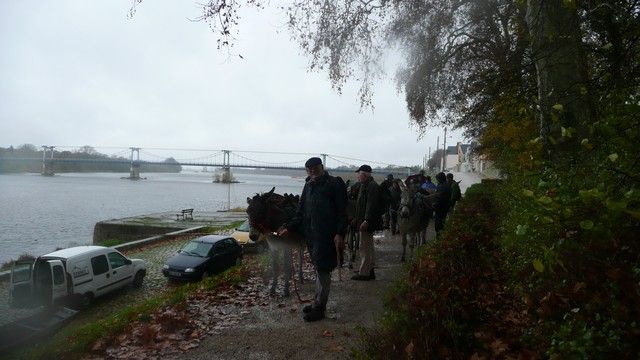 P1050172.jpg