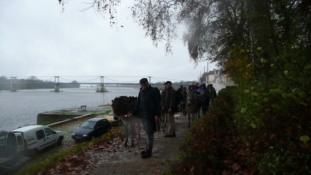 P1050173.jpg