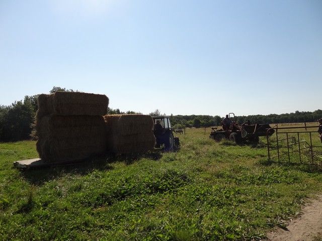 DSC09383.JPG